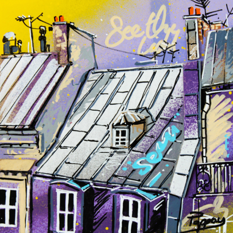 Rêves - toits de Paris - technique mixte et graffiti